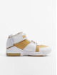 Nike sneaker Zoom Lebron Ii wit