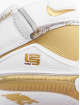 Nike Sneakers Zoom Lebron Ii vit