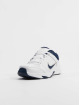 Nike Sneakers Defyallday white