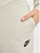 Nike Spodnie do joggingu Essential Fleece brazowy