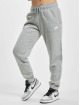 Nike Sweat Pant Nsw Club Flc Mr Std grey