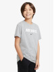 Nike T-Shirt SDI grey