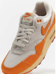 Nike Tøysko Air Max 1 grå