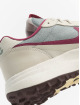 Nike Zapatillas de deporte Acg Lowcate gris