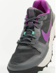 Nike Zapatillas de deporte Acg Lowcate gris