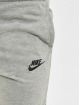 Nike Šortky AA šedá
