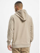 Only & Sons Hoodie Elon Life beige