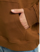 Only & Sons Hoodies Stone Acent Photo brun