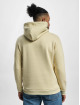 Only & Sons Hoody Ceres beige