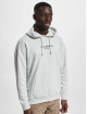 Only & Sons Hoody Lesclassiques grijs