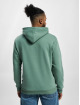 Only & Sons Hoody Ceres groen