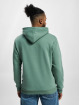 Only & Sons Sweat capuche Ceres vert