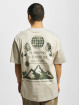 Only & Sons T-Shirt Fred Explore Print beige