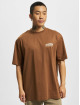 Only & Sons T-Shirt Fred Explore Print brun