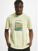 Only & Sons T-Shirt IB green