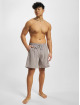 PEGADOR Badshorts Logo Swim grå