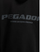 PEGADOR Bluzy z kapturem Colne Logo Oversized czarny