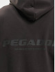 PEGADOR Bluzy z kapturem Colne Logo Oversized szary