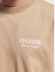 PEGADOR Camiseta Racoon Boxy marrón