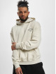 PEGADOR Hoodie Wallace Oversized beige