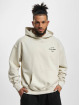 PEGADOR Hoodie Wallace Oversized beige