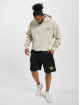 PEGADOR Hoodie Wallace Oversized beige