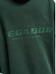 PEGADOR Hoodie Colne Logo Oversized green