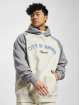PEGADOR Hoodies Keefer Raglan beige