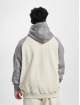 PEGADOR Hoody Keefer Raglan beige