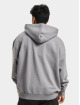 PEGADOR Hoody Logo Oversized grau