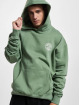 PEGADOR Hoody Carberry Oversized groen