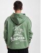 PEGADOR Hoody Carberry Oversized groen
