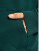 PEGADOR Hoody Logo Oversized Halfzip groen