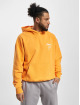 PEGADOR Hoody Skena Oversized oranje