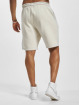 PEGADOR Short Logo Heavy Vintage beige