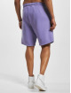 PEGADOR Shorts Logo Heavy lilla