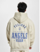 PEGADOR Sudaderas con cremallera Salal Oversized Vintage beis
