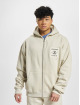 PEGADOR Sudaderas con cremallera Salal Oversized Vintage beis