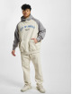 PEGADOR Sweat capuche Keefer Raglan beige