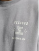 PEGADOR T-paidat Salal Oversized harmaa