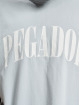 PEGADOR T-paidat Cali Oversized sininen