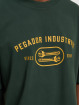 PEGADOR T-paidat Comet Oversized vihreä