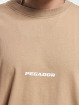 PEGADOR T-Shirt Colne Logo Oversized brun