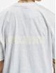 PEGADOR T-shirt Alamo grigio