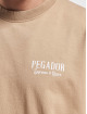 PEGADOR T-shirt Racoon Boxy marrone