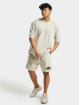 PEGADOR T-shirts Colne Logo Oversized Vintage beige