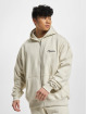PEGADOR Vetoketjuhupparit West Oversized Vintage beige