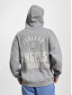 PEGADOR Zip Hoodie Salal Oversized Vintage grau