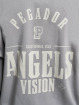 PEGADOR Zip Hoodie Salal Oversized Vintage grau