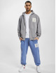 PEGADOR Zip Hoodie Salal Oversized Vintage grau